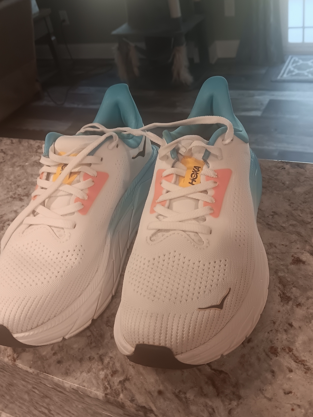Hoka White ARAHI 7 Running Shoes
